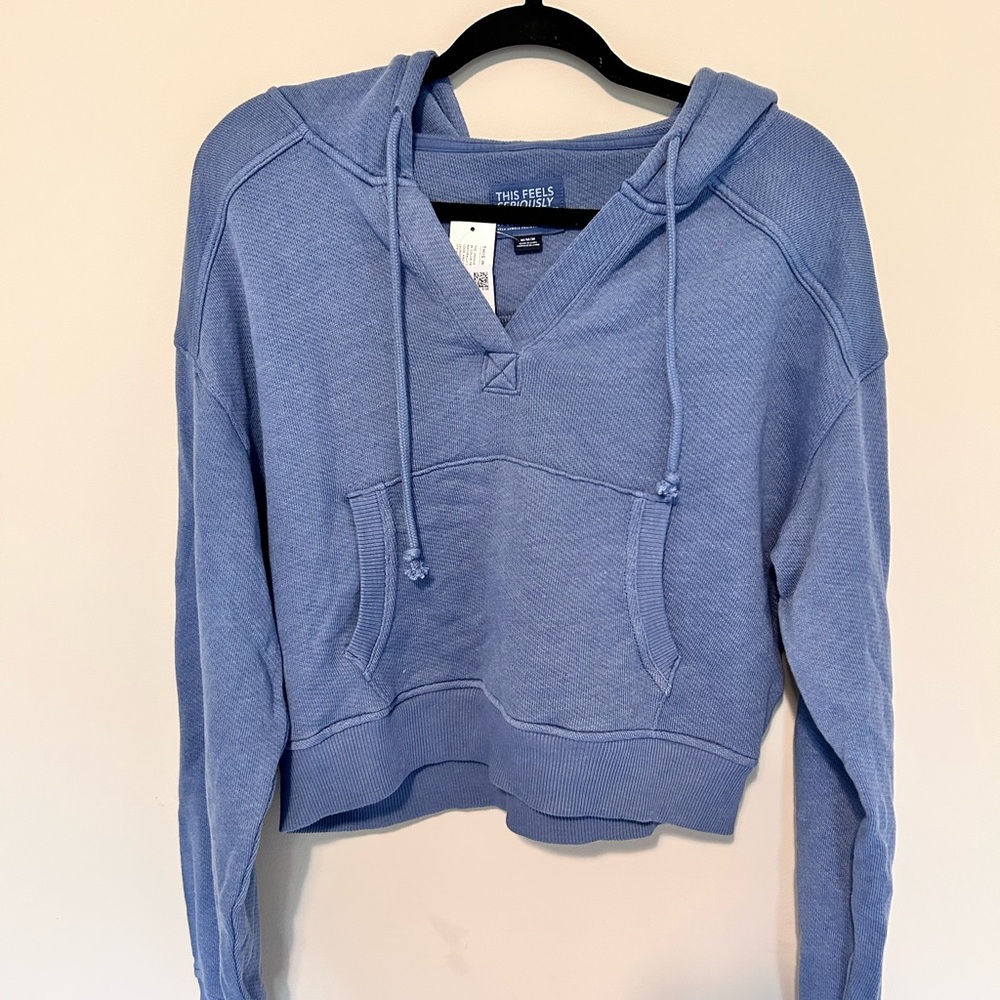 American Eagle Outfitters Blue Sweatshirt